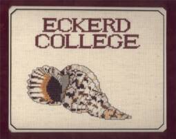 Eckerd College Triton Shell